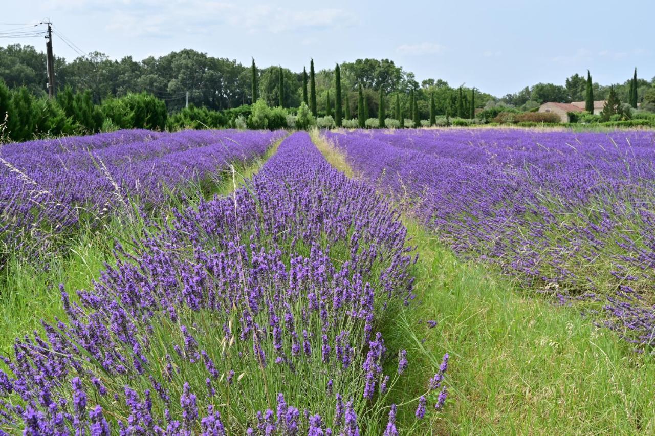 Gite De Charme "Puisneuf" Proche De Uzes Villa Flaux Екстериор снимка